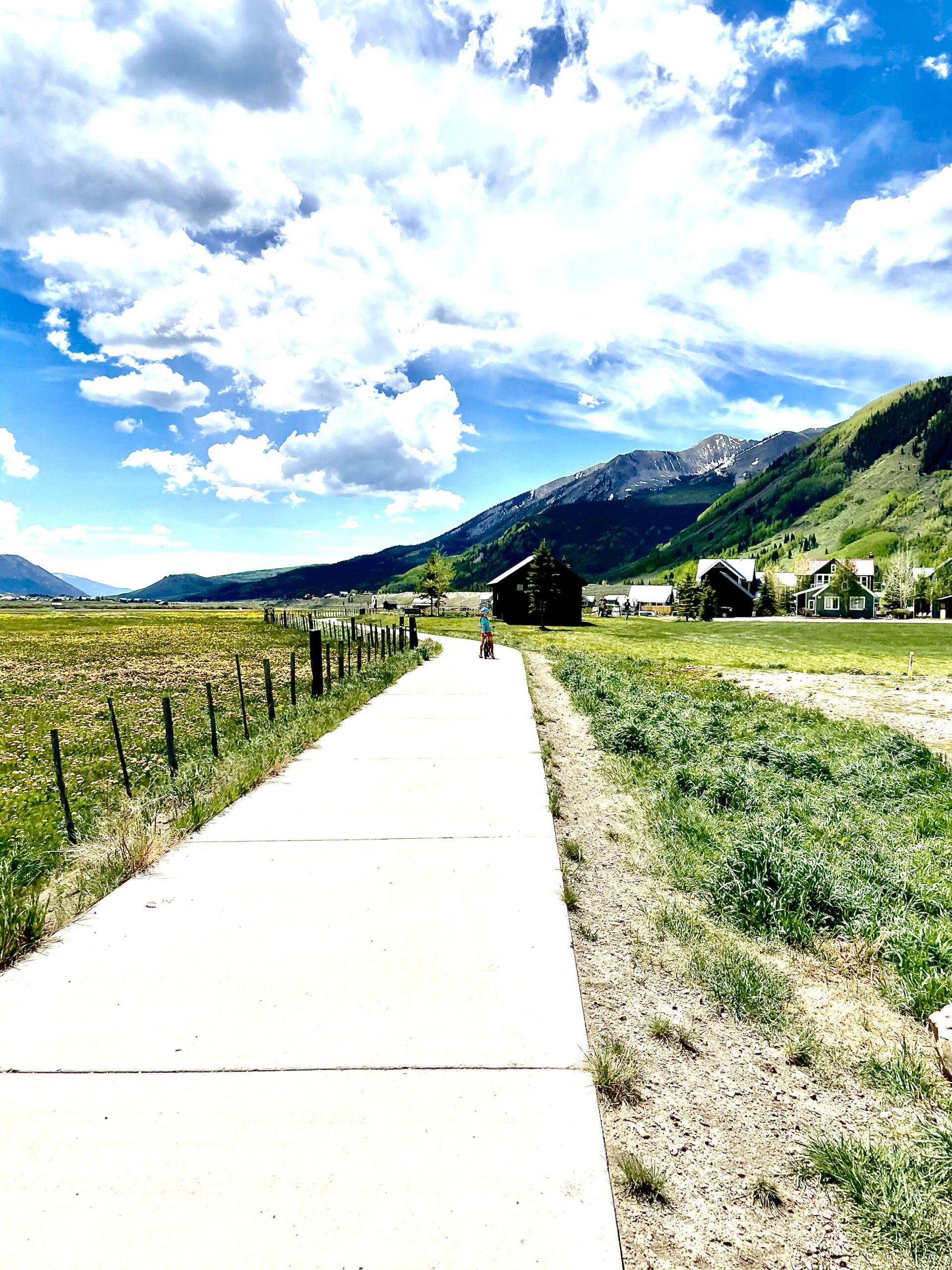 crested butte bank